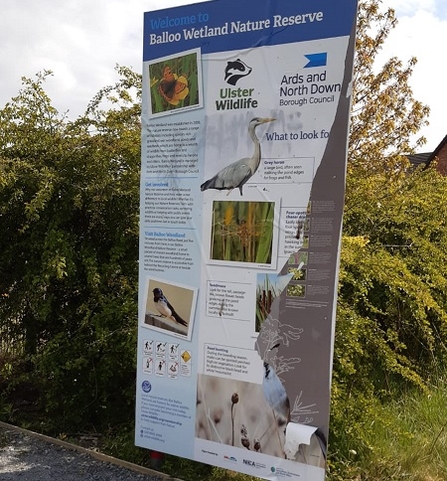 Balloo Wetland information panel vandalised 