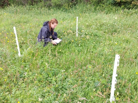 Feystown Botanical Monitoring 