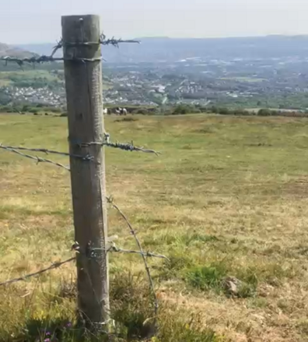 Cut fence, Slievenacloy