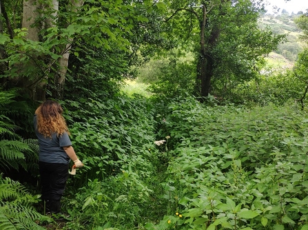 Glendun Nature Reserve