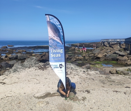 Living Seas, Big Rockpool Ramble