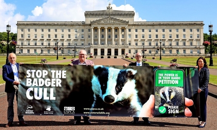 Stop the Badger Cull