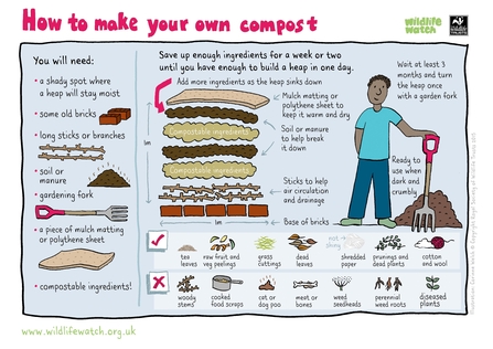 How to make your own compost (no carpet)