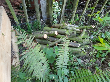 Montgomery Log Pile - V Allister Blog