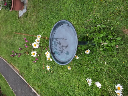 Bird bath at Montgomery Manor- V Allister blog