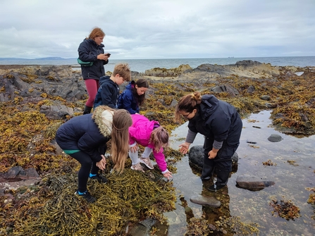 Rockpooling at Groomsport 