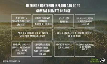 10 things NI can do to tackle climate change 