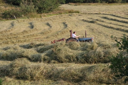 Farmer making hay 