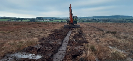 Glenullin Bog