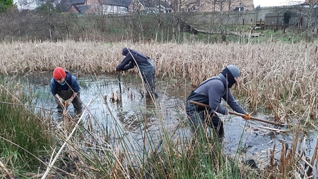 Balloo Wetland Nature Reserve