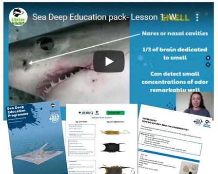 Sea Deep lesson pack example