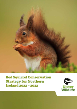 Red Squirrel Strategy Front Cover 