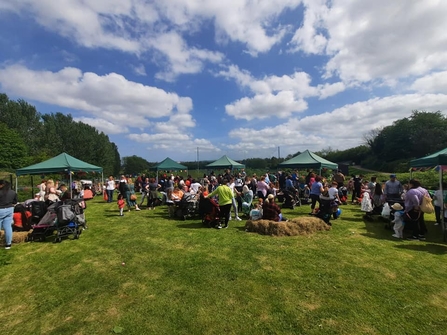 Swamp Festival, Bog Meadows