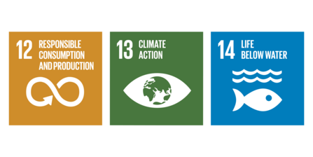 Sustainable Development Goals 12 (Responsible Consumption and production), 13 (Climate Action), and 14 (Life below water)