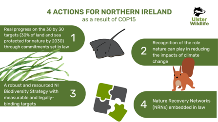 Actions we want to see In NI from COP15