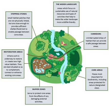 Nature Recovery Networks - Ulster Wildlife diagram