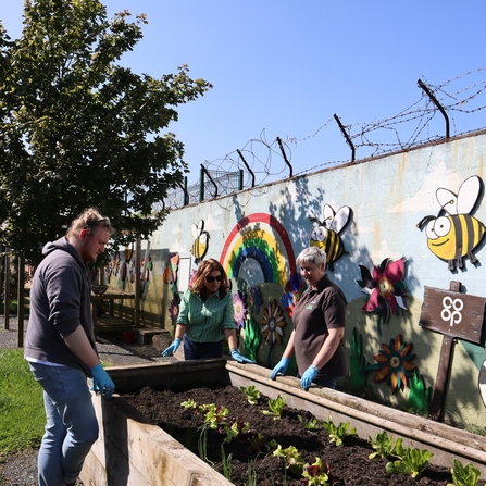 Glentoran Social Partnership