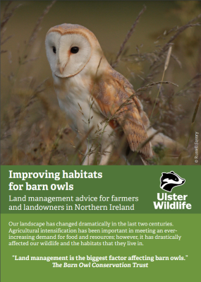 Barn owl management leaflet cover 