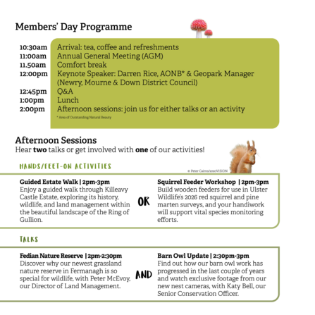 Details of Ulster Wildlife's Members' Day and AGM programme, featuring red squirrel and fly agaric cutouts