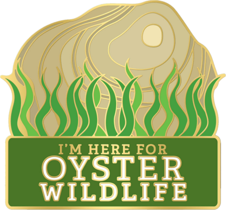 A pin badge featuring 'I'm here for Oyster Wildlife' text and a native oyster and seagrass illustrations