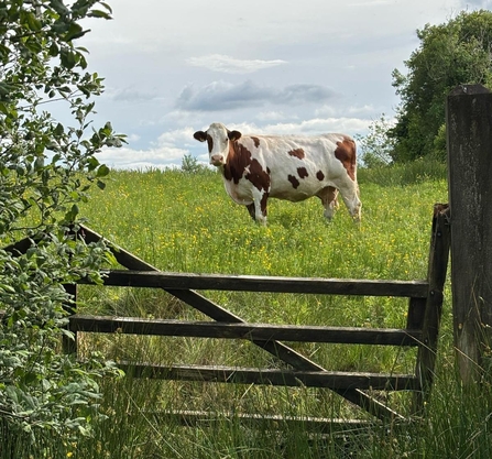Farming with Nature