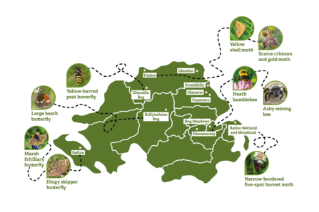 Pollinator Map - Appeal 2025