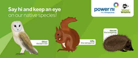 Power NI partnership banner 