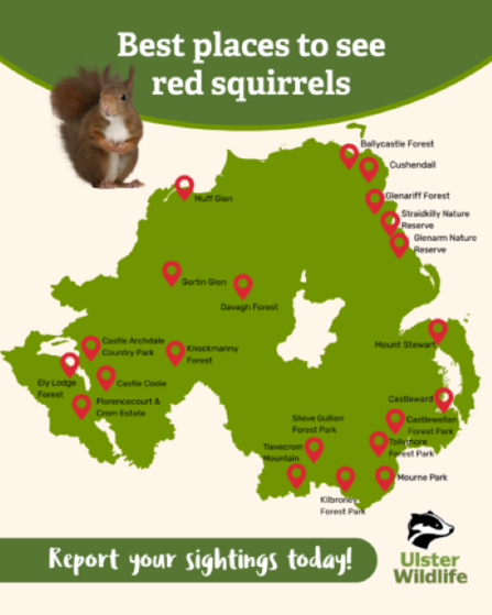 Map of best places to see red squirrels