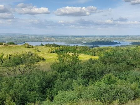 Fedian in its summer glory 