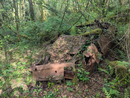 Rusty the car at Fedian 