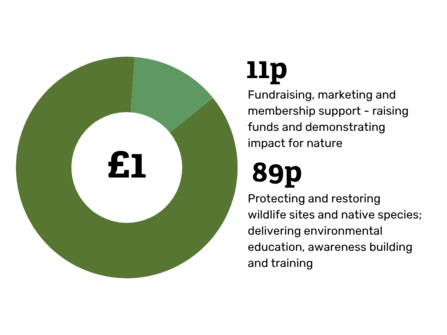 Donation Impact Infographic 2025
