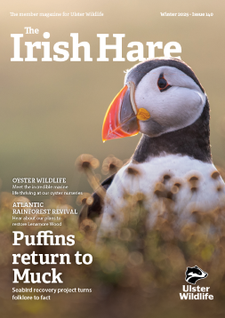 IH Winter 25 cover small 