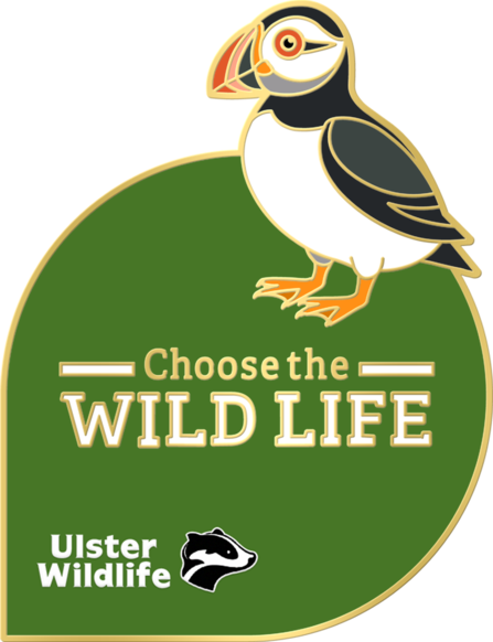 Pin badge featuring a puffin illustration, the Ulster Wildlife logo and text that reads choose the wild life