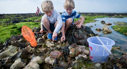 Rockpooling