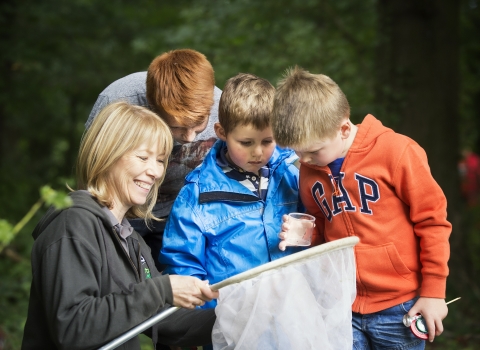 Kids looking at bugs