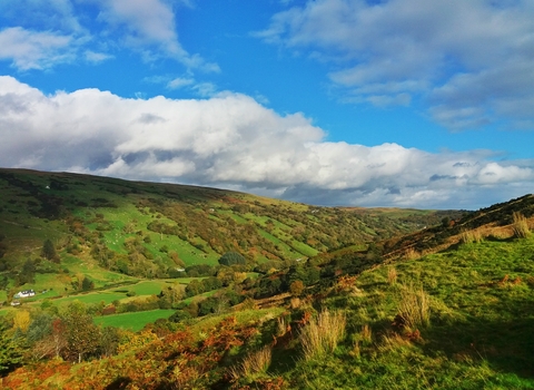 Glendun Nature Reserve