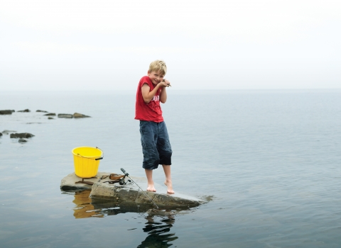 Archie stands on a rock in the sea with a bucket