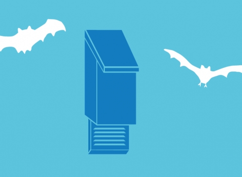Bat box illustration 2