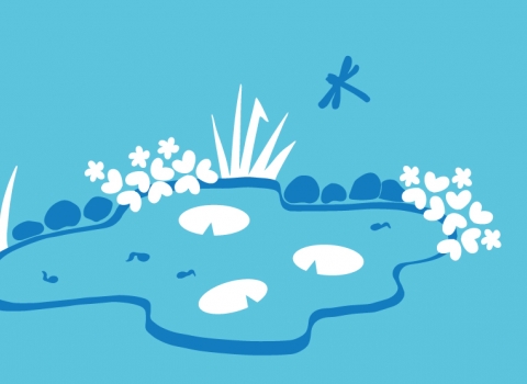 Build a pond illustration 2