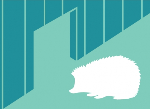 Hedgehog highway illustration 2
