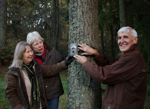 Red squirrel volunteers 