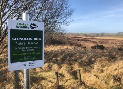 Signage at Glenullin bog