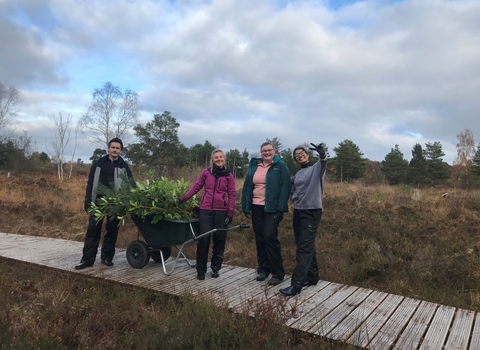 LNLP Volunteers at Peatlands Park