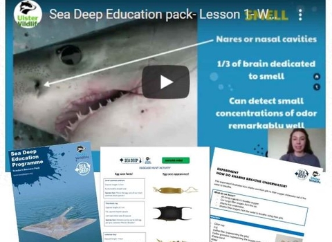 Sea Deep lesson pack example