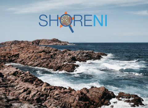 A rocky shore with the ShoreNI logo