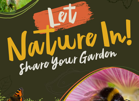 Let nature in thumbnail