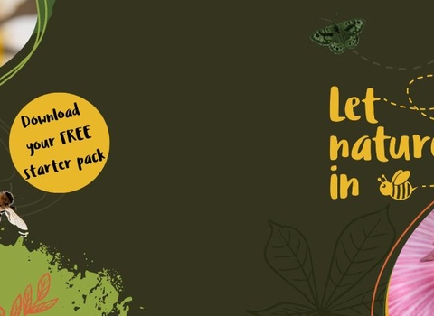LNI website Header 4