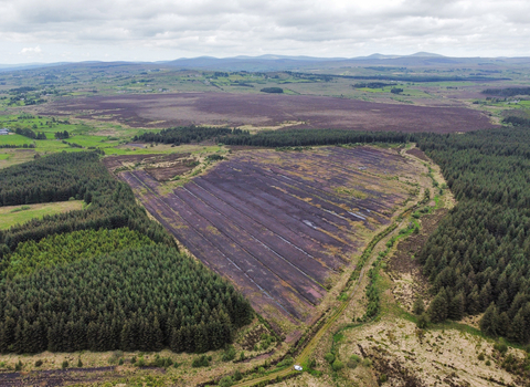 Haughey's Bog (foreground) with Black Bog SAC behind