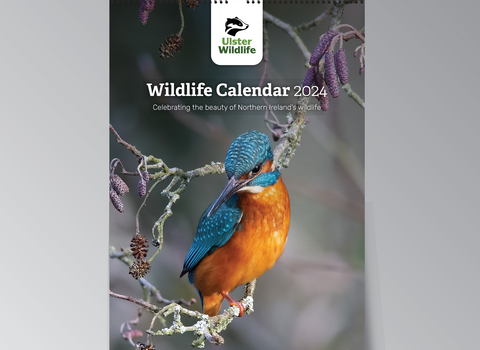 2024 Calendar