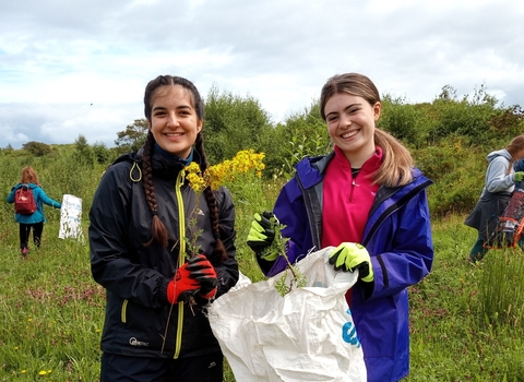 Youth Forum removing ragwort at Umbra